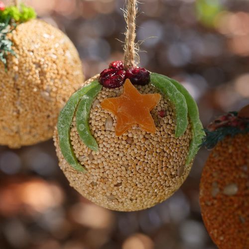 Fruit Ball Bird Seed Gift Set Image