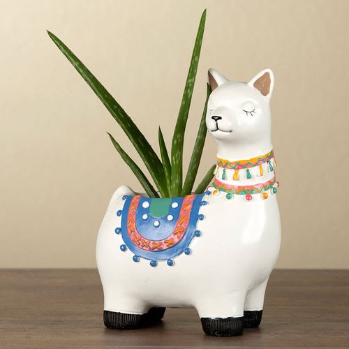 Aloe Vera in Llama Planter Image