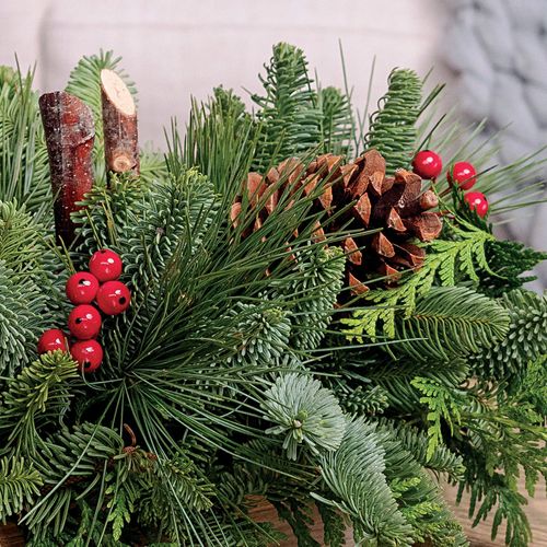 Magic Forest Christmas Centerpiece Image