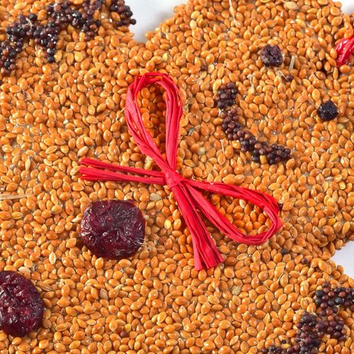 Gingerbread Cookie Bird Seed Treat Image