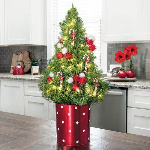 Shop Candy Cane Swirl Decorated Christmas Tree
