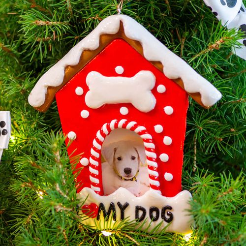 Best Dog Ever Potted Christmas Tree Image