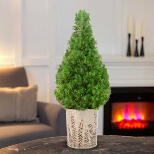 Simple Spruce It Up Potted Christmas Tree Image