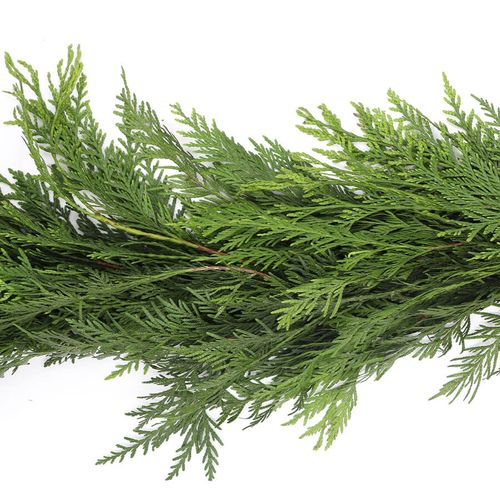 Western Red Cedar Garland Image