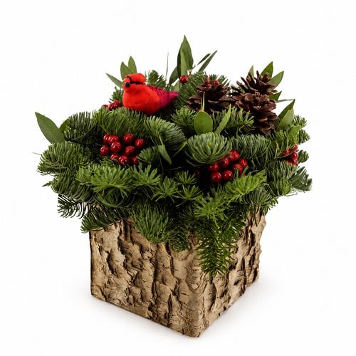 Cardinal Wishes Fresh Evergreen Arrangement Image