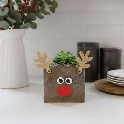 Holiday Reindeer Succulent Gift Image