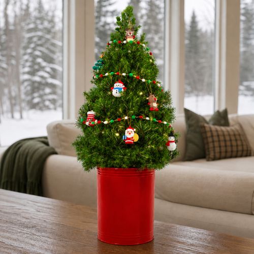 Santa's Surprise Living Tabletop Christmas Tree Image