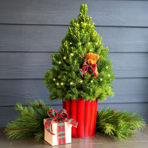 Beary Merry Living Tabletop Christmas Tree Image