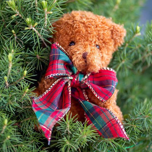 Beary Merry Living Tabletop Christmas Tree Image