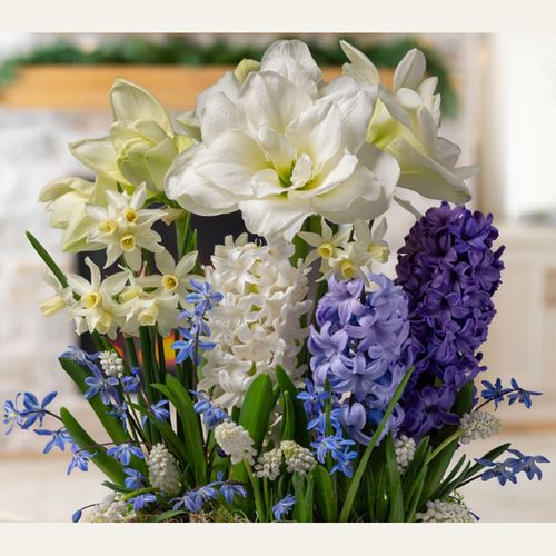 Peaceful Palette Bulb Garden Gift Image