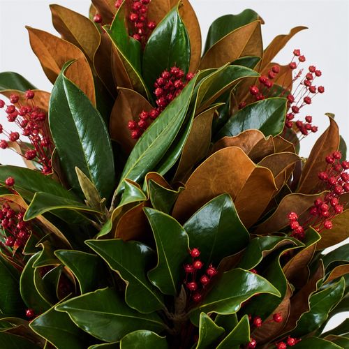 Magnolia and Berry Fresh Magnolia Centerpiece Image