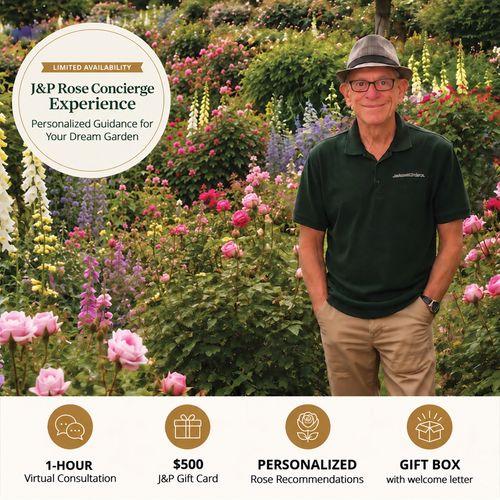 Jackson & Perkins Rose Concierge Experience Image