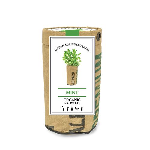 Mint herb Garden Grow Kit Image