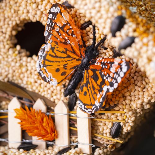 Wren Bird Seed Casita + Butterfly Image