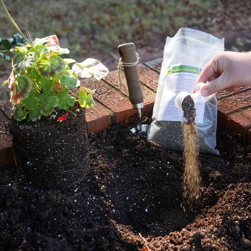 Organic Diehard&trade; Transplant Stress Relief Image