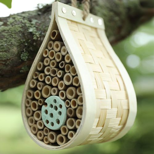 Dew Drop Bee & Bug Hotel Image