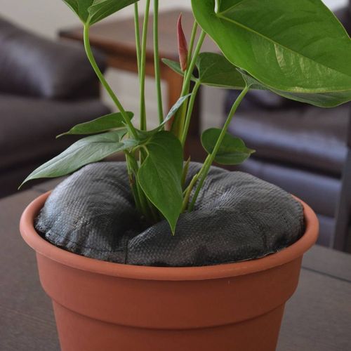 TreeDiaper&reg; 10-inch (2-Pack) Image