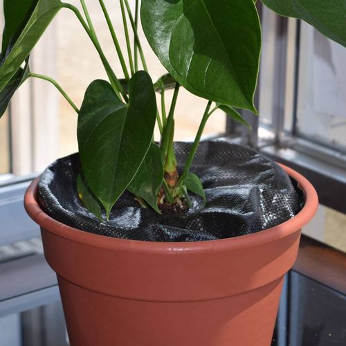 TreeDiaper&reg; 10-inch (2-Pack) Image