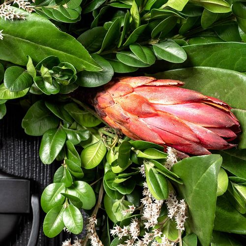 Pink Protea Preserved Wreath Image