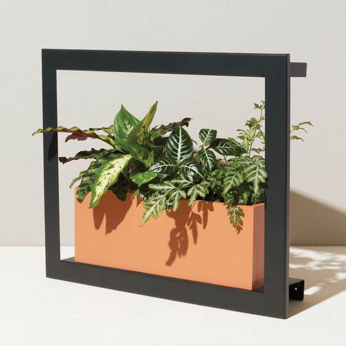 Modern Sprout Smart Growframe Image