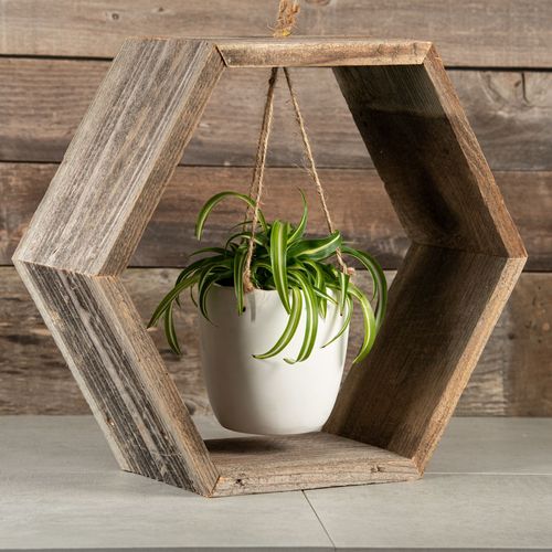 Hanging Spider Plant - Wood Hexagon Frame Image