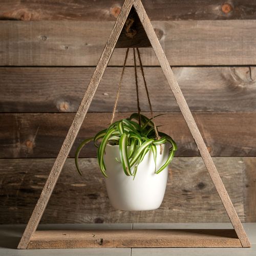 Hanging Spider Plant - Wood Triangle Frame Image