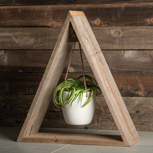Hanging Spider Plant - Wood Triangle Frame Image