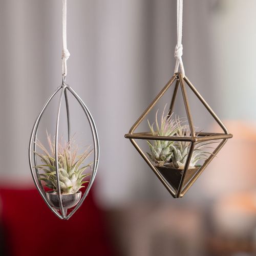 Air Tilly Metal Frame Hanger Image