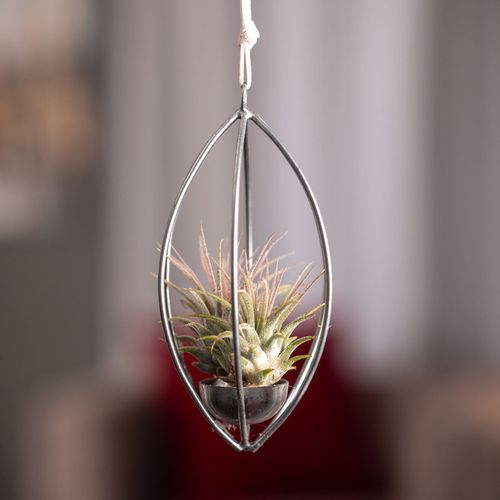 Air Tilly Metal Frame Hanger Image