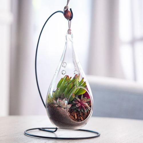 Terrarium Stand Image