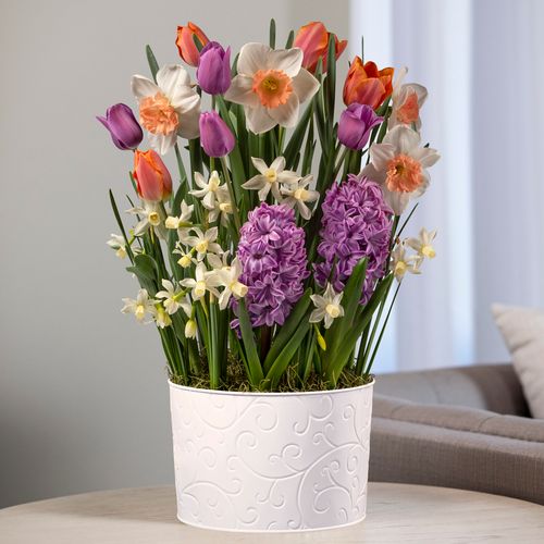 Peach Charm Bulb Garden Image