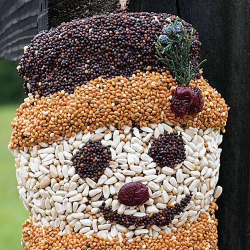 Frosty the Seedman Bird Seed Treat Image