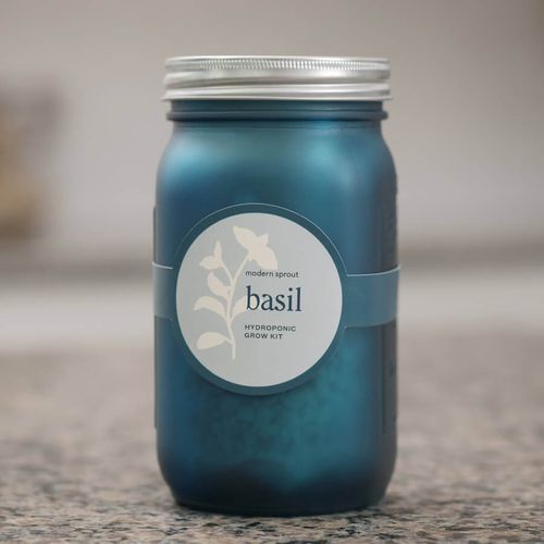 Modern Sprout Garden Jar - Basil Image