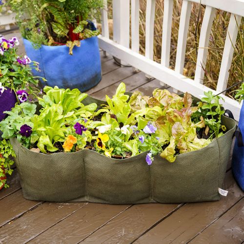 Smart Pot&reg; Urban Lil' Shorty Raised Bed Fabric Planter (Green) Image