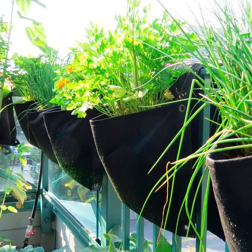 Smart Pot&reg; Wall Flower Saddle Planter 6-Gallon Fabric Planter (Black) Image