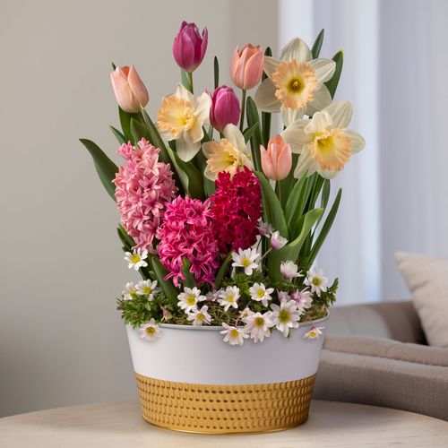 Pink Horizon Bulb Garden Image