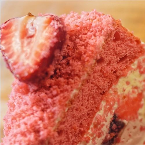 Fragaria 'Flamingo' Strawberry Image