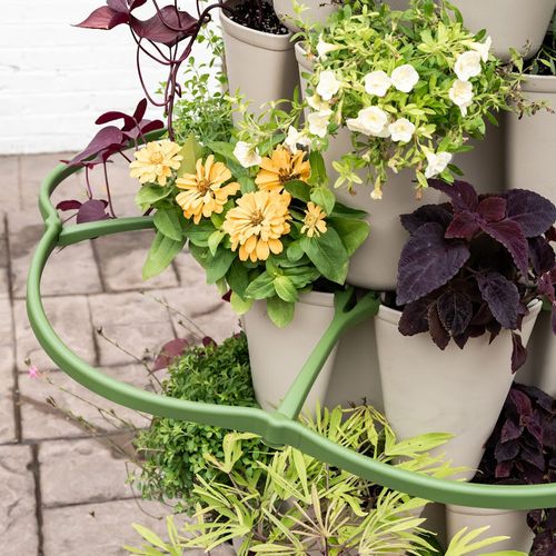 GreenStalk Plant Support Image