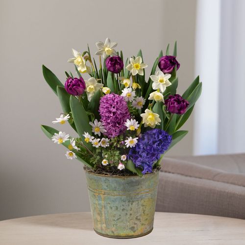 Spring Meadow Bulb Garden Image