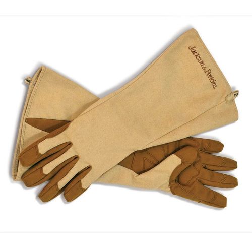 Jackson & Perkins Rose Gloves Image