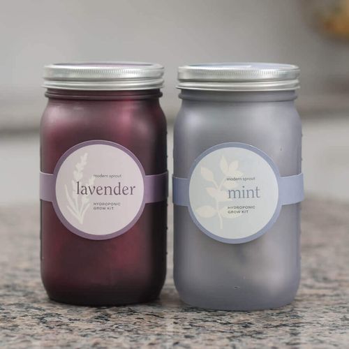 Modern Sprout Garden Jars Image