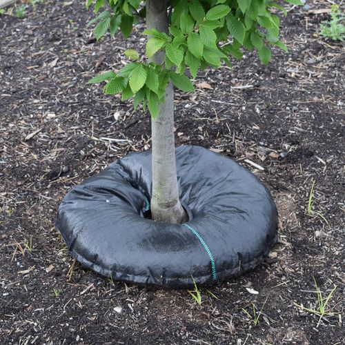 TreeDiaper&reg; Hydration System Image