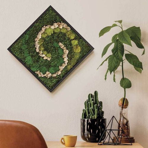 Preserved Moss Wall Art Image