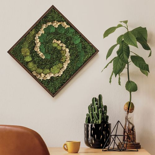 Preserved Moss Wall Art Image