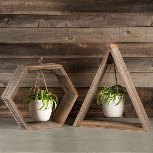 Hanging Spider Plant - Wood Frame Image