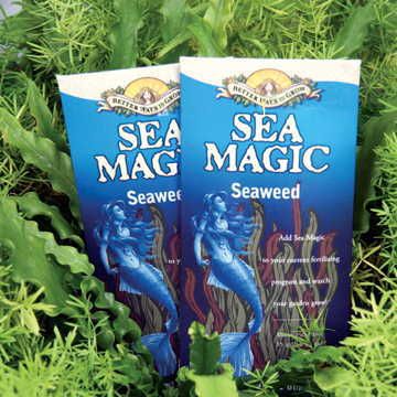 Sea Magic Plant Growth Stimulant Image