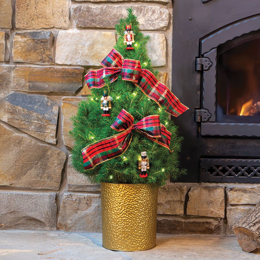 Nutcracker Noel Potted Christmas Tree Image