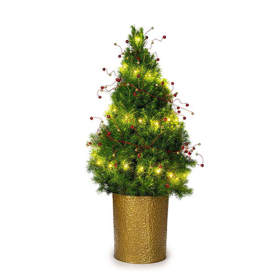 Jingle Bell Joy Potted Christmas Tree Image