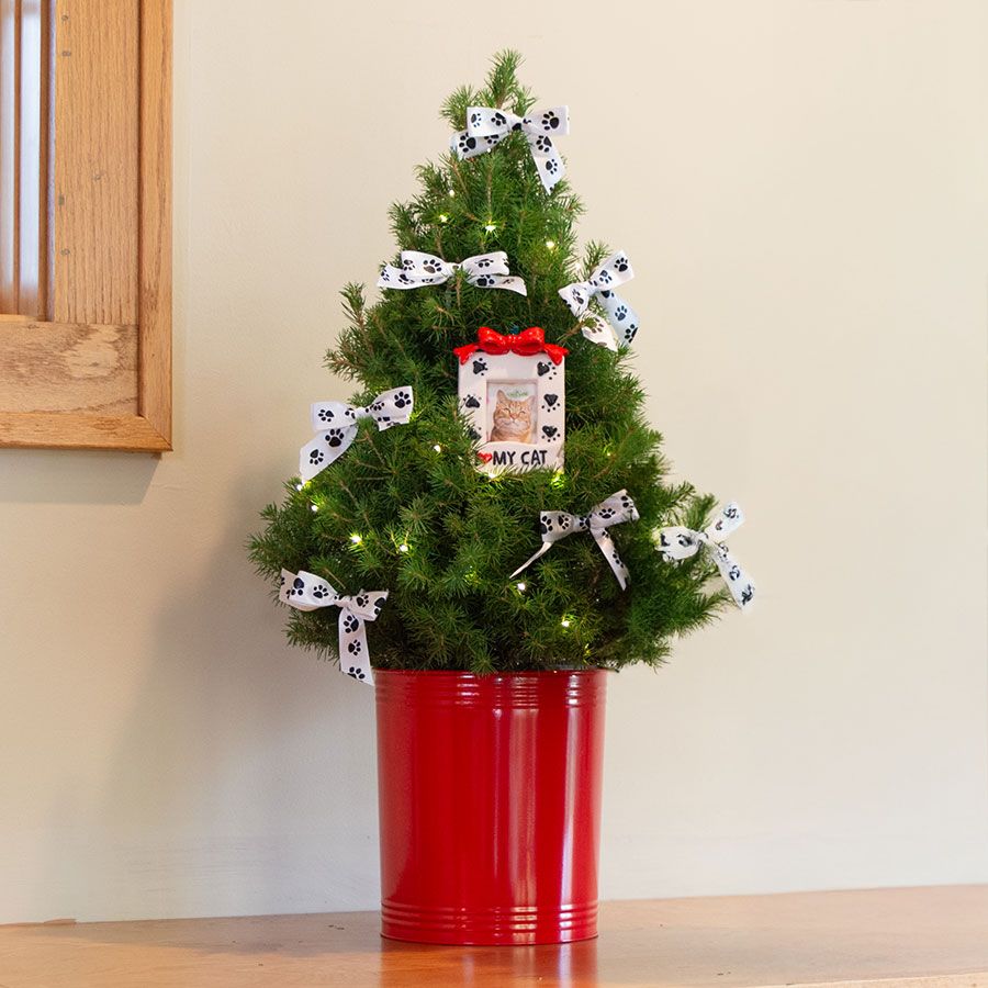Love My Kitty Potted Christmas Tree Image