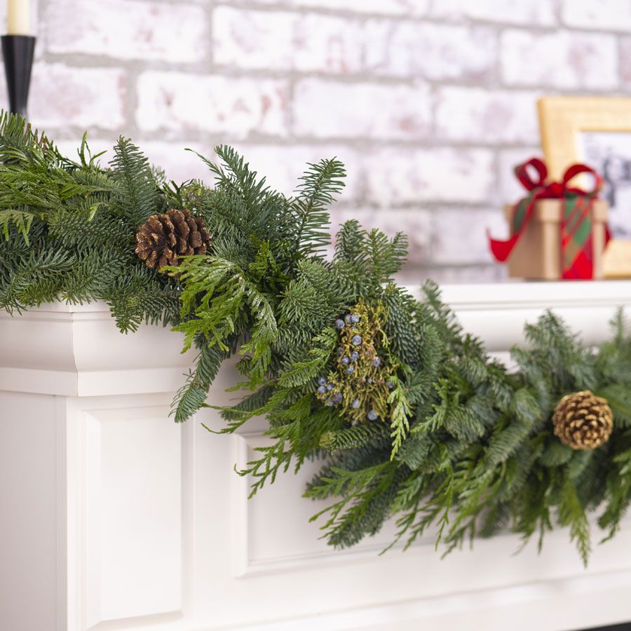 Fresh Evergreen Garland Image